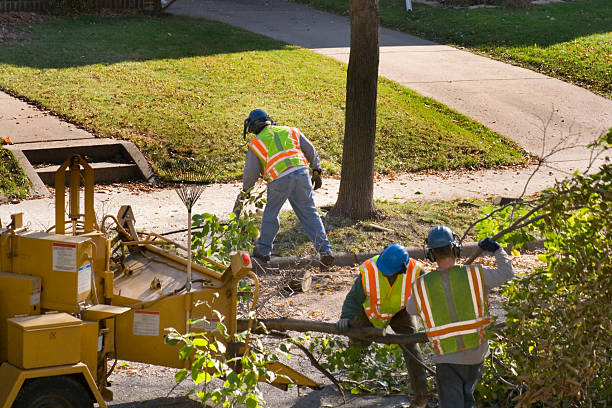 Best Lawn Watering Services  in Salisbury, NC